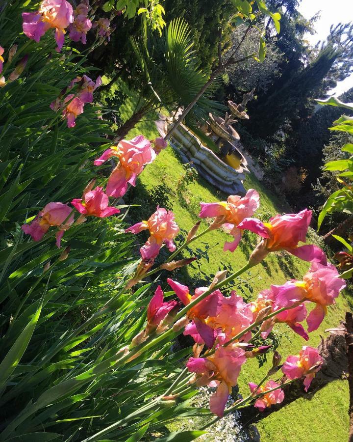 Torre De Salis Bed & Breakfast Gussago Bagian luar foto